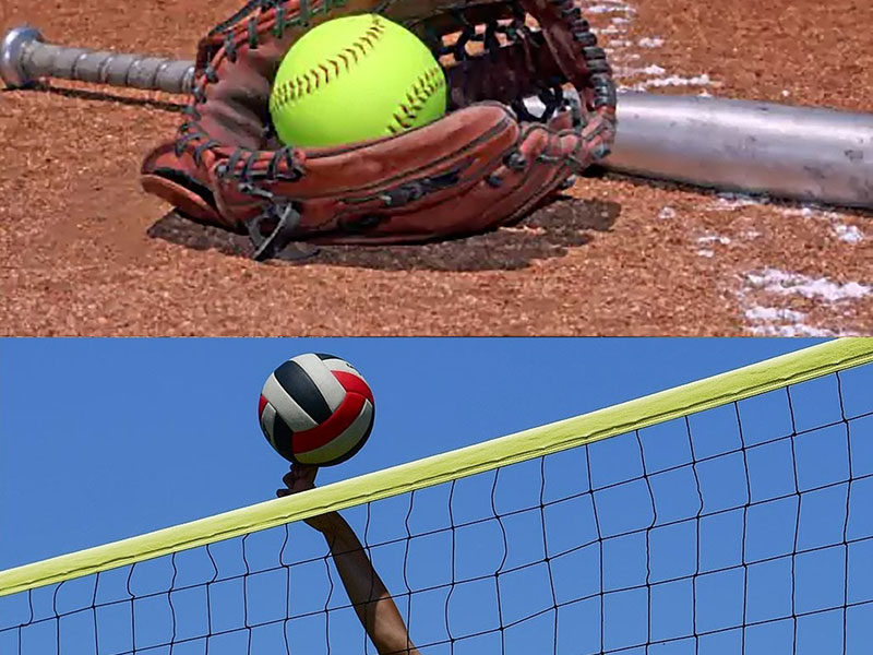 photo of a baseball mit, bat, baseball, plate, vollyball net, and vollyball